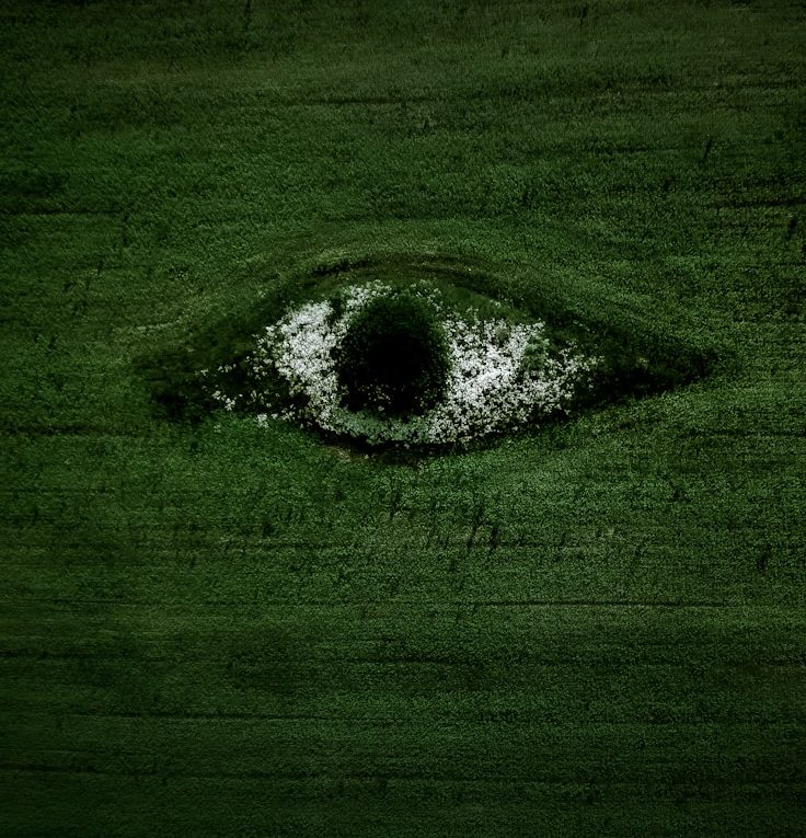 green grass field with water